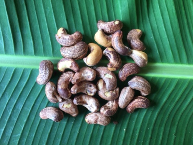 Hạt Điều Rang Muối Chưa Bóc Vỏ lụa(KL:500GRAM) | BigBuy360 - bigbuy360.vn