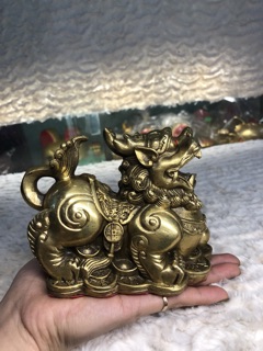 Đôi tỳ hưu đồng phong thuỷ