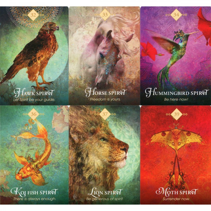 Bộ Bài The Spirit Animal Oracle Nifoki A4
