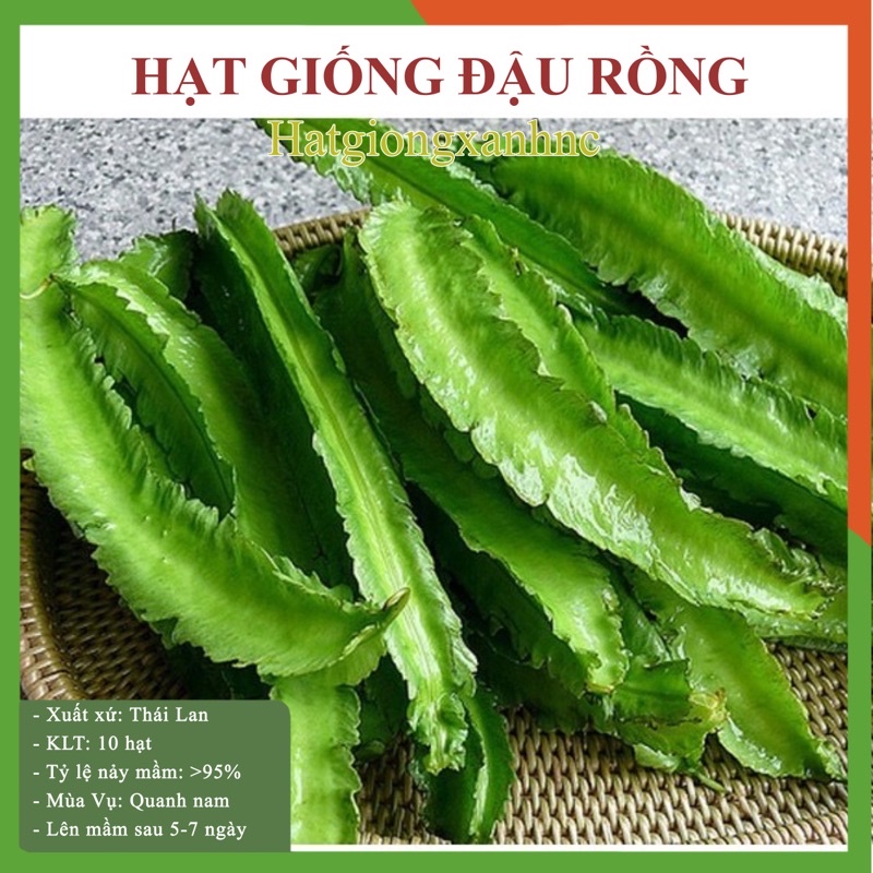 Hạt giống đậu rồng - Tỷ lệ này mầm cao gói 10 hạt thuộc loại Rau củ quả dễ trồng