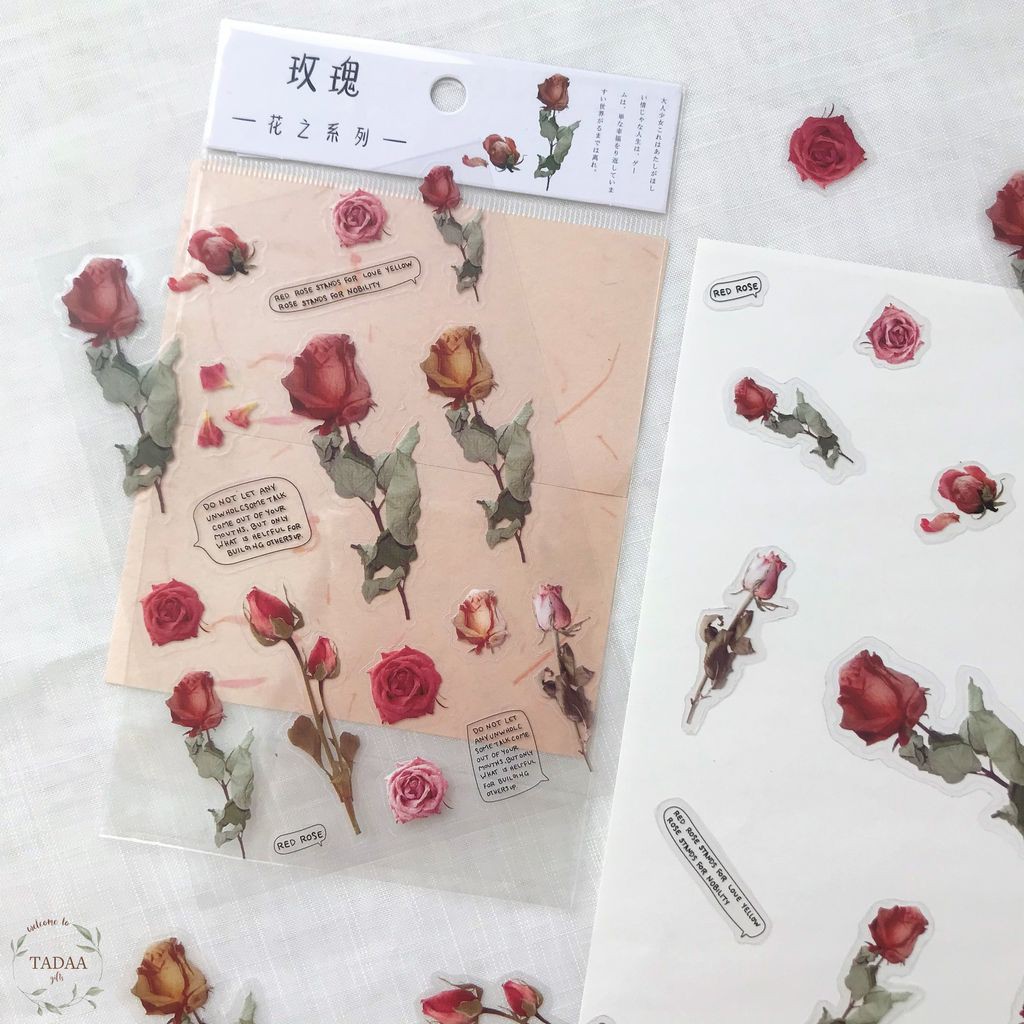 Sticker hoa lá trong suốt aesthetics vintage, dương xỉ, hoa hồng, hoa cúc, nhãn dán retro trang trí sổ bullet journal