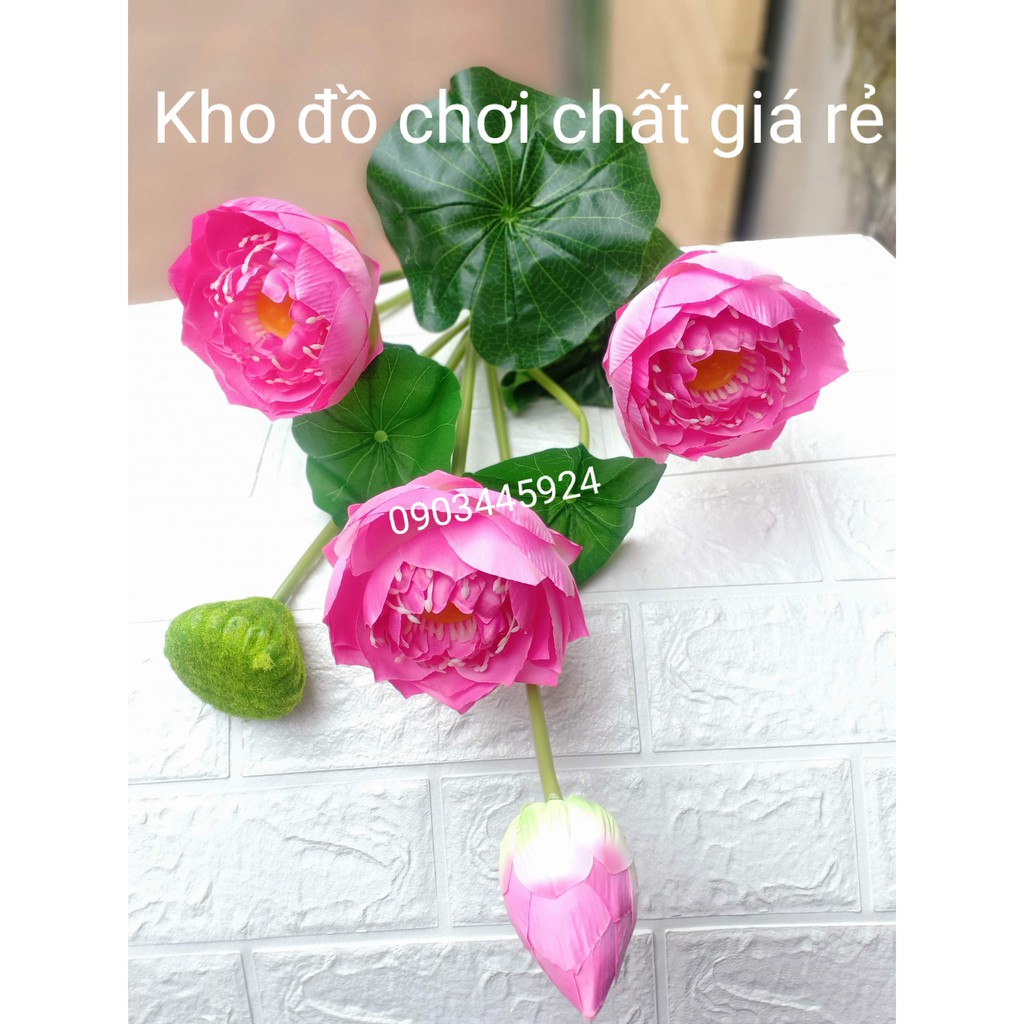 Cành Sen Thái Giống Thật dài 75cm-Hoa Giả