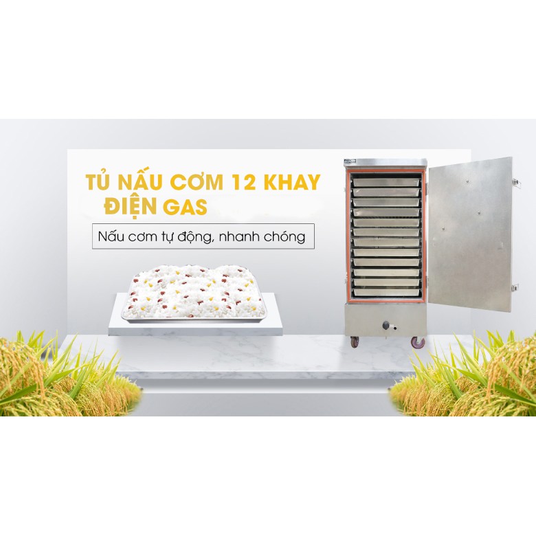 Tủ Nấu Cơm 60 Kg Gạo/ Mẻ Bằng Điện Gas 12 Khay Việt Nam NEWSUN - Hàng Chính Hãng - Bảo Hành 12 Tháng