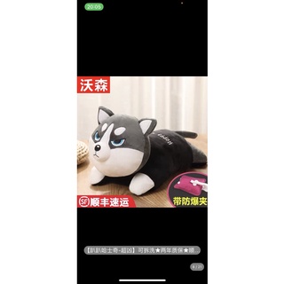 Túi sưởi cute