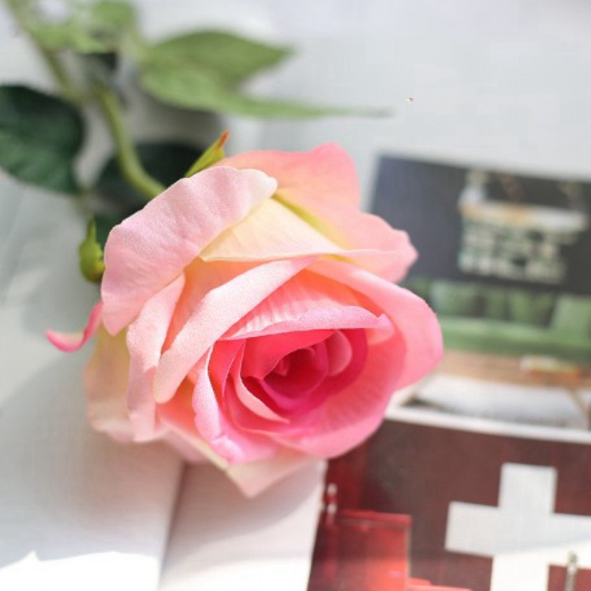 Hoa hồng nhung giả như thật- Bông to màu trắng-hồng-xanh-đỏ trang trí chụp ảnh, cửa hàng, nhà cửa
