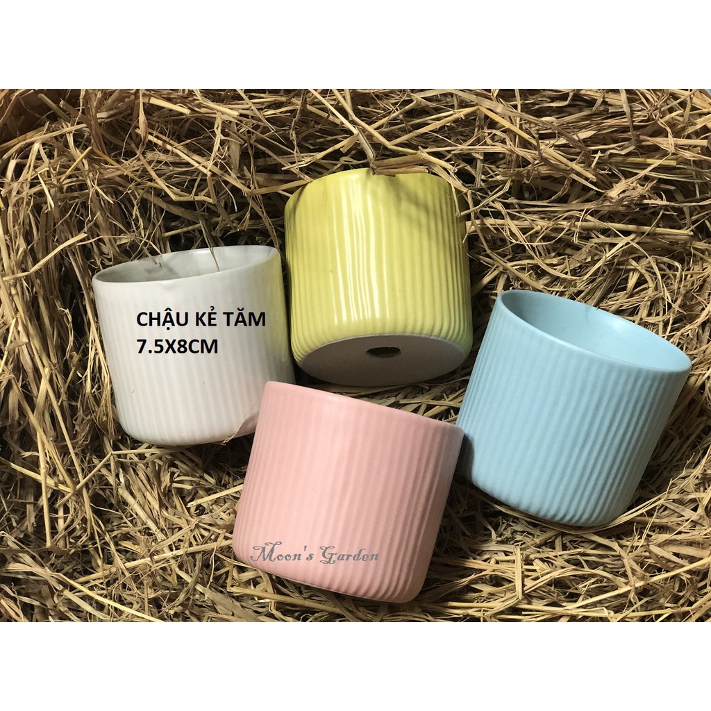 Chậu men kẻ tăm mini