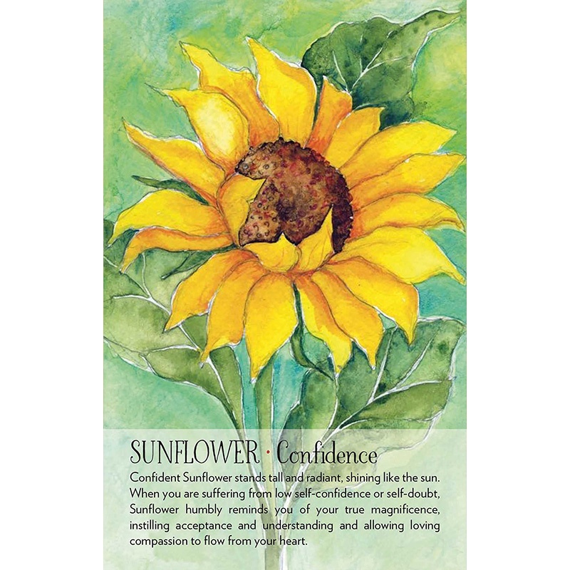 Bộ Bài Soulflower Plant Spirit Oracle  - Bài Gốc Authentic Chính Hãng 100%