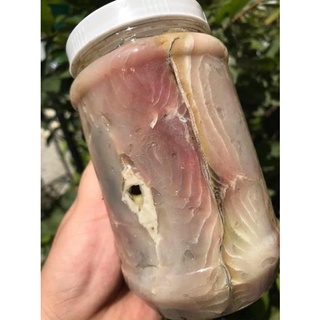Mắm cá thu ngâm dầu - đặc sản bình định- hũ 500gr