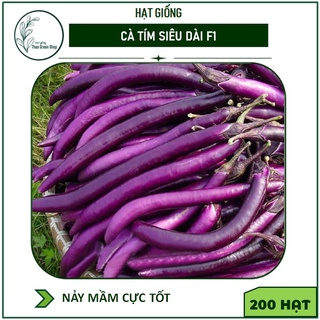 HẠT GIỐNG CÀ TÍM THÁI SIÊU DÀI F1