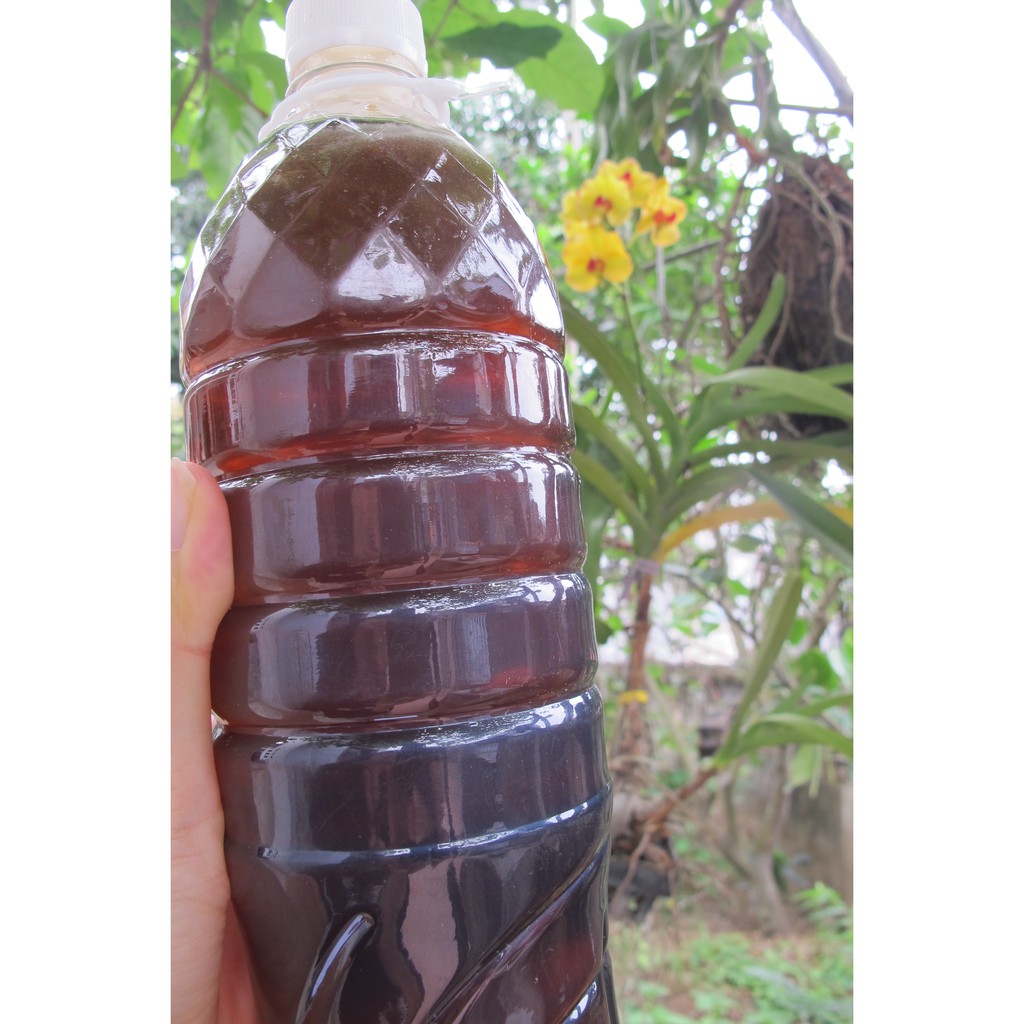 Mật Ong Nhãn Hưng Yên Nguyên Chất Thơm Ngon Đậm Đặc