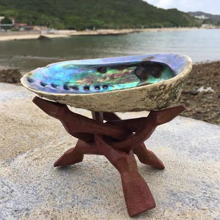 Đĩa ốc xà cừ- đĩa đốt sage