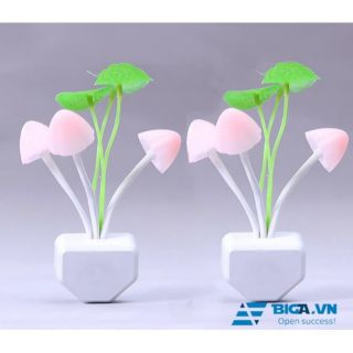 Đèn nấm ngủ chuyển màu