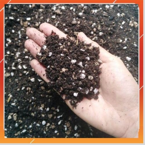5kg Đất trồng cao cấp trộn sẵn chuyên dùng trồng sen đá xương rồng, cây cảnh,