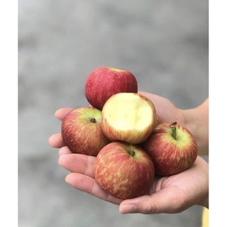 Táo Túi Nam Phi - 3kg (Giao Trong Ngày )