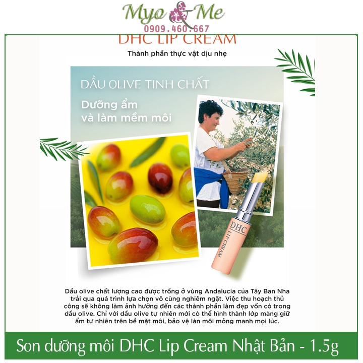 Son dưỡng DHC không màu Nhật Bản chiết xuất dầu olive giúp giảm thâm môi - DHC Lip Cream 1.5g