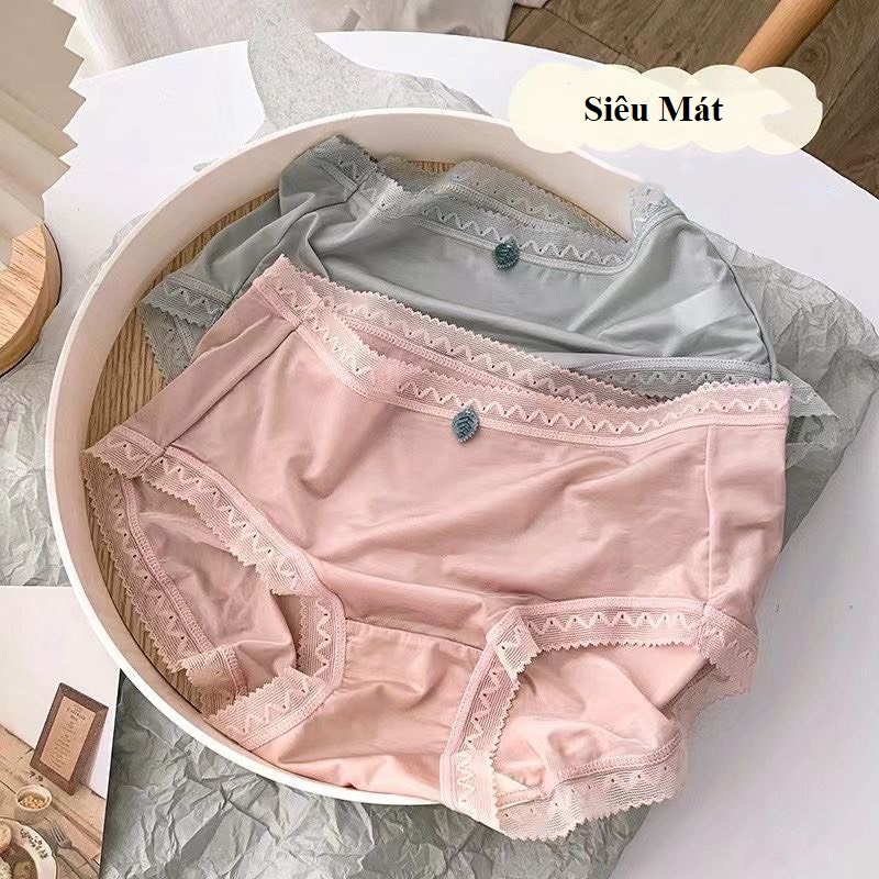 Quần lót nữ cạp vừa thun lạnh đa sắc siêu nhẹ siêu mát 848