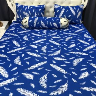 Bộ drap thun thái lan phối màu ( 7 màu)