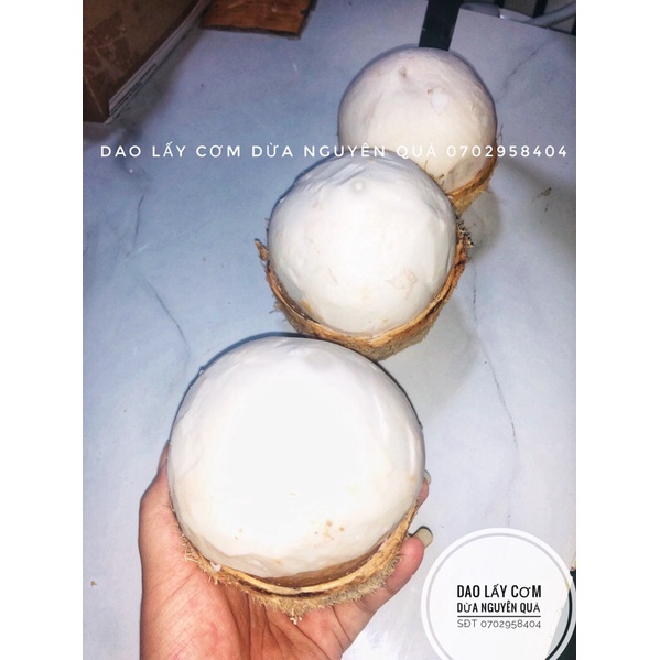 Dao lóc cơm dừa nguyên quả vẫn giữ được nước bên trong