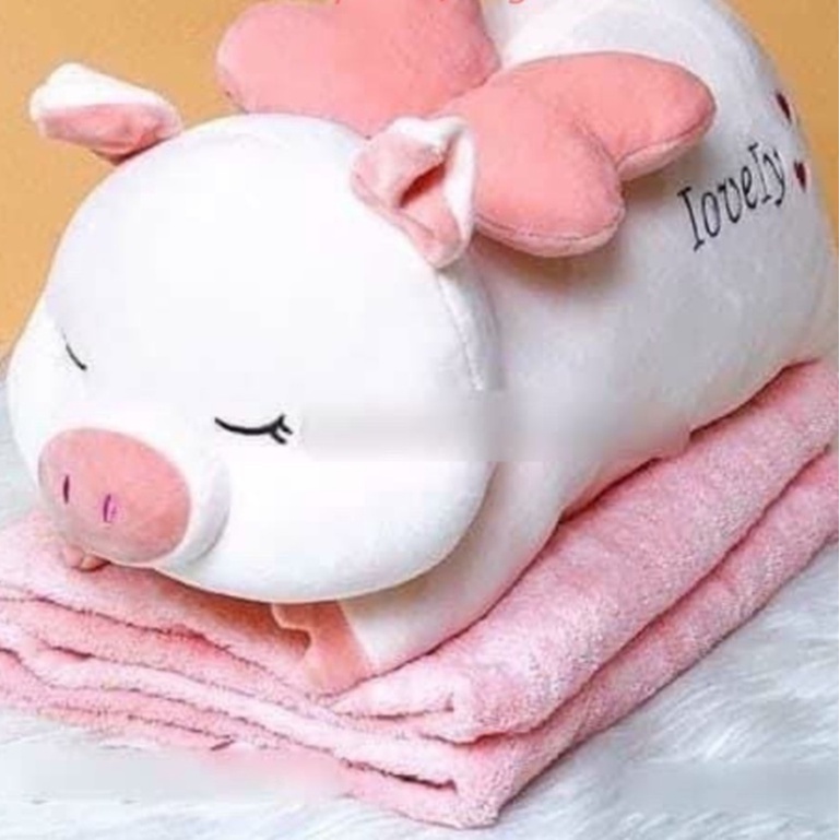 Chăn gối văn phòng Mền Gối Heo 3 Trong 1 Kích Thước Mền 1*1,7m Cao Cấp #changoivanphong