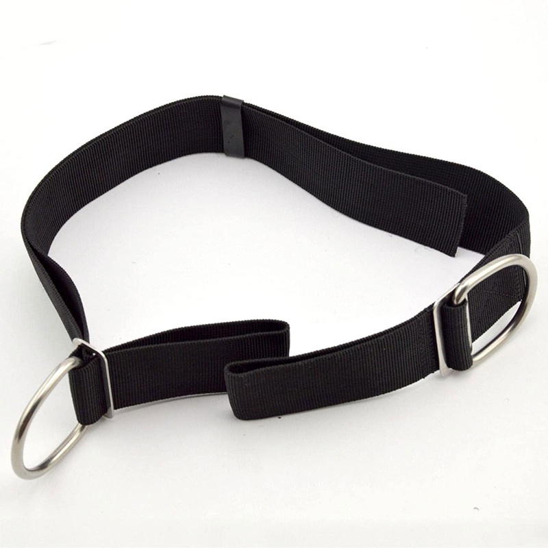 Dây Đáy Quần Lặn Biển 5cm 1 96 Inch