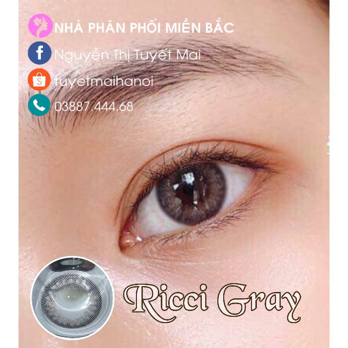Ricci Gray 14mm 0 Độ - Lens Xám Tự Nhiên - Kính Áp Tròng Nhập Khẩu Hàn Quốc