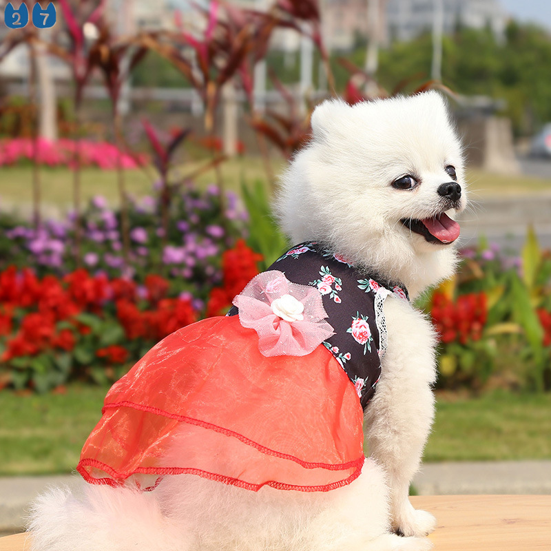 Đầm Cưới Công Chúa Họa Tiết Hoa Và Mèo Phong Cách Hàn Quốc 27Pets