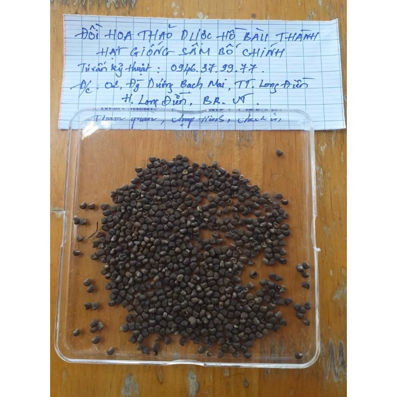 Hạt giống sâm bố chính