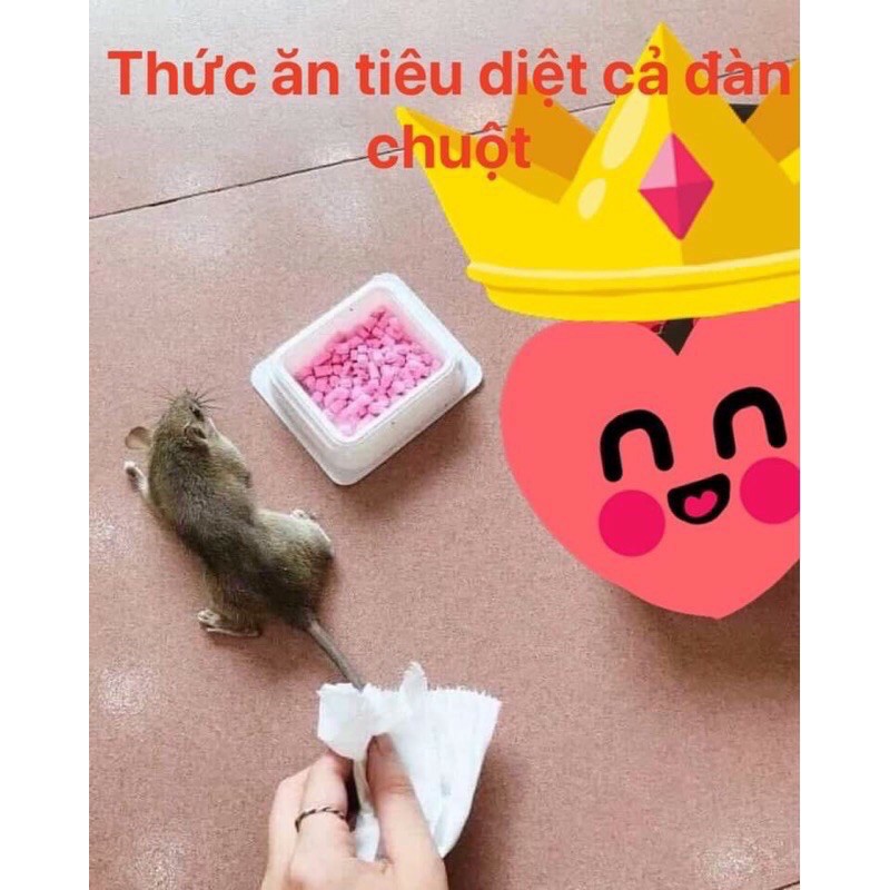 Thuốc diệt chuột ARS Thái Lan 80gram