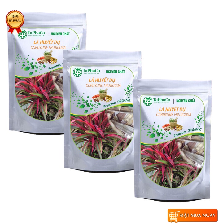 Lá huyết dụ sấy khô 500g - tấn phát