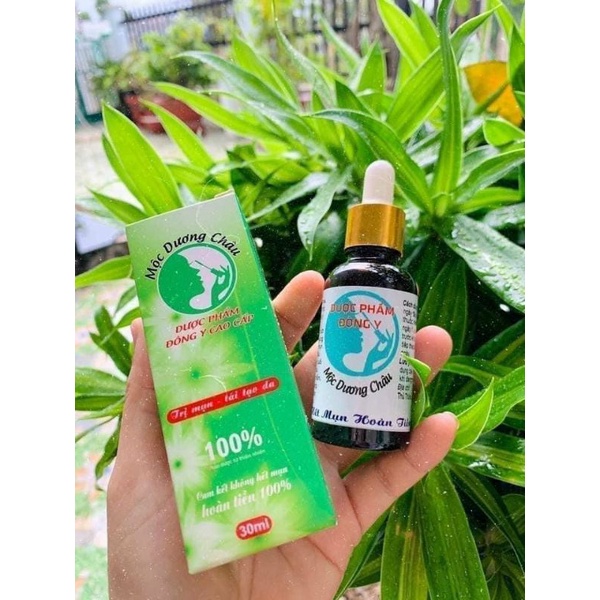 srum mộc dương châu
