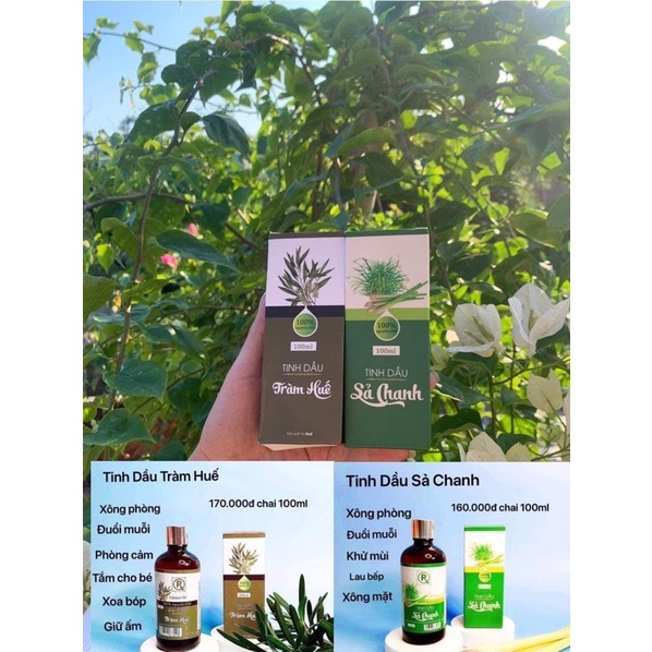 Sỉ combo 20 chai tinh dầu sả chanh 100ml công ty Hồng Tâm -sát khuẩn-lau sàn