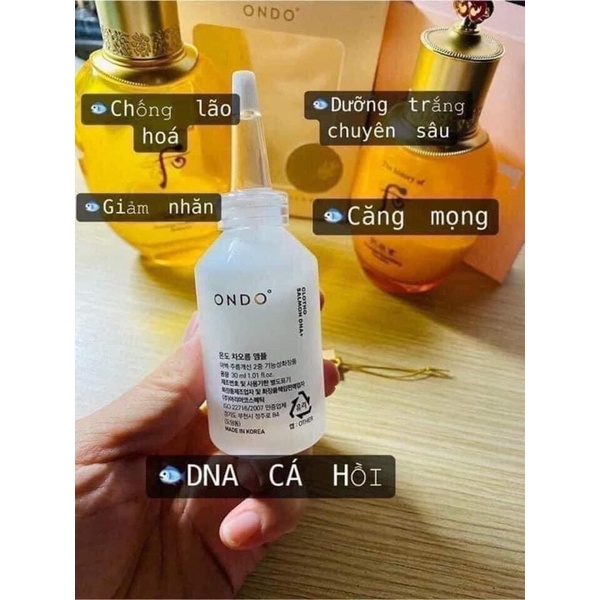 TẾ BÀO GỐC CÁ HỒI ONDO AMPOULE SALMON DNA