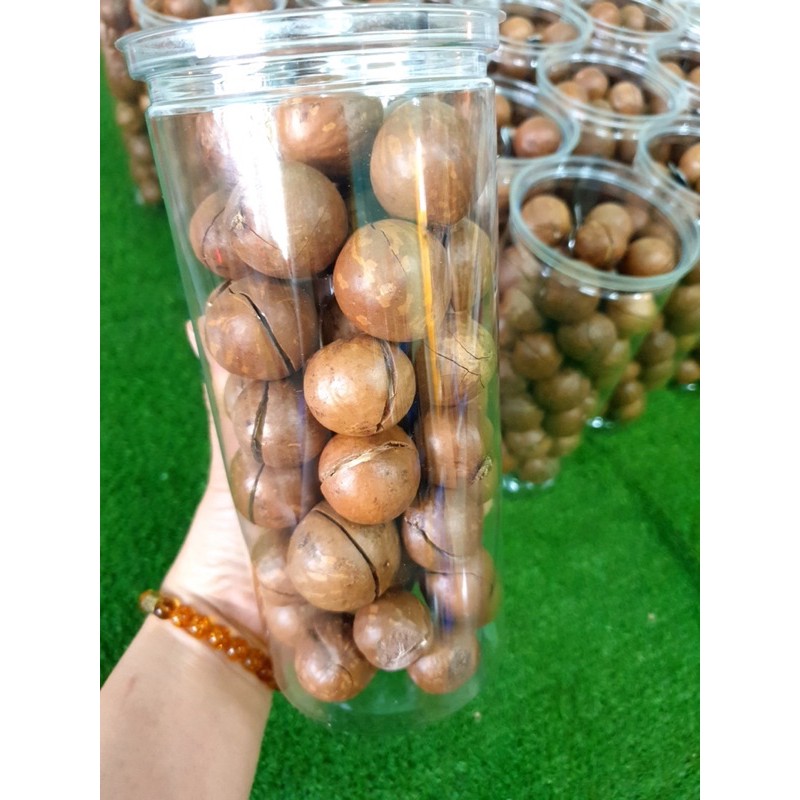 HẠT MACCA VƯỜN DAKLAK