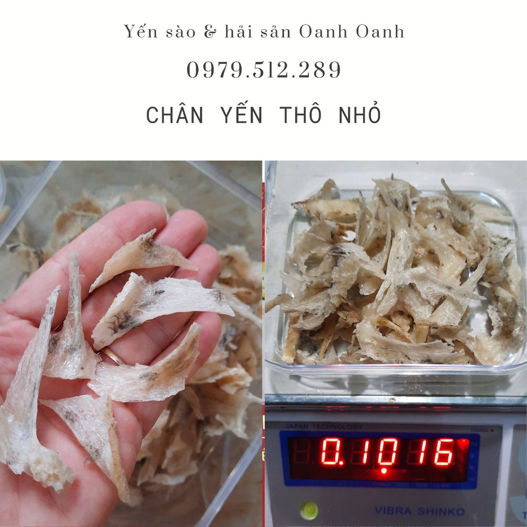 100gr Chân yến thô già nguyên chất - Tặng Nhíp và đồ chưng