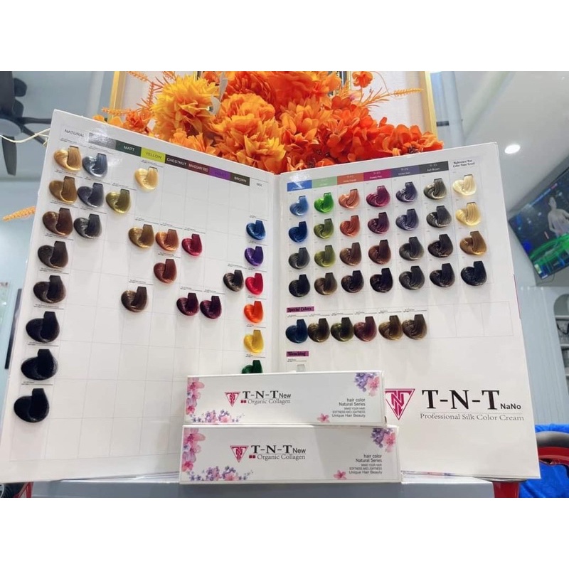 Màu Nhuộm TNT 100ml Đủ Mã , Thuốc Nhuộm Tóc TNT Chính Hãng ,Màu Nhuộm TNT ,Mỹ Phẩm Tóc TNT Việt Nam
