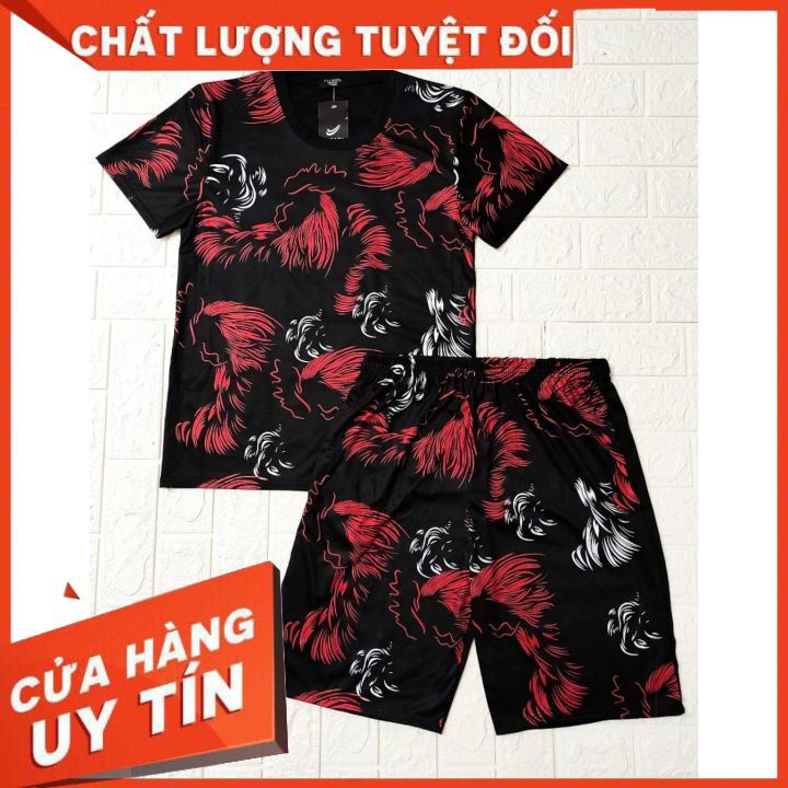 Bộ Quần Áo Thun Nam Cổ Tròn Tay Ngắn In Màu 3D Chất Thun Lạnh Cực Đẹp