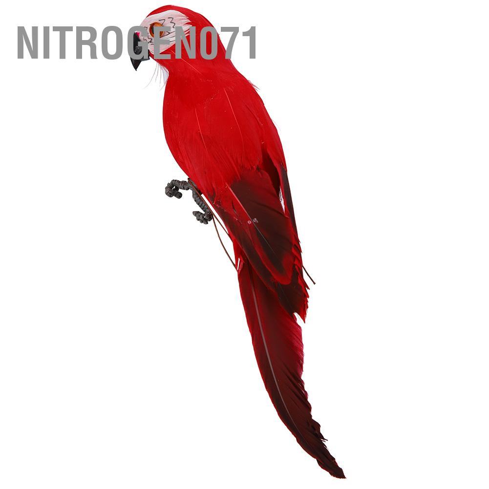 Nitrogen071 Mô phỏng Lông Vẹt Macaw Vườn Trang trí Nội thất Chim giả