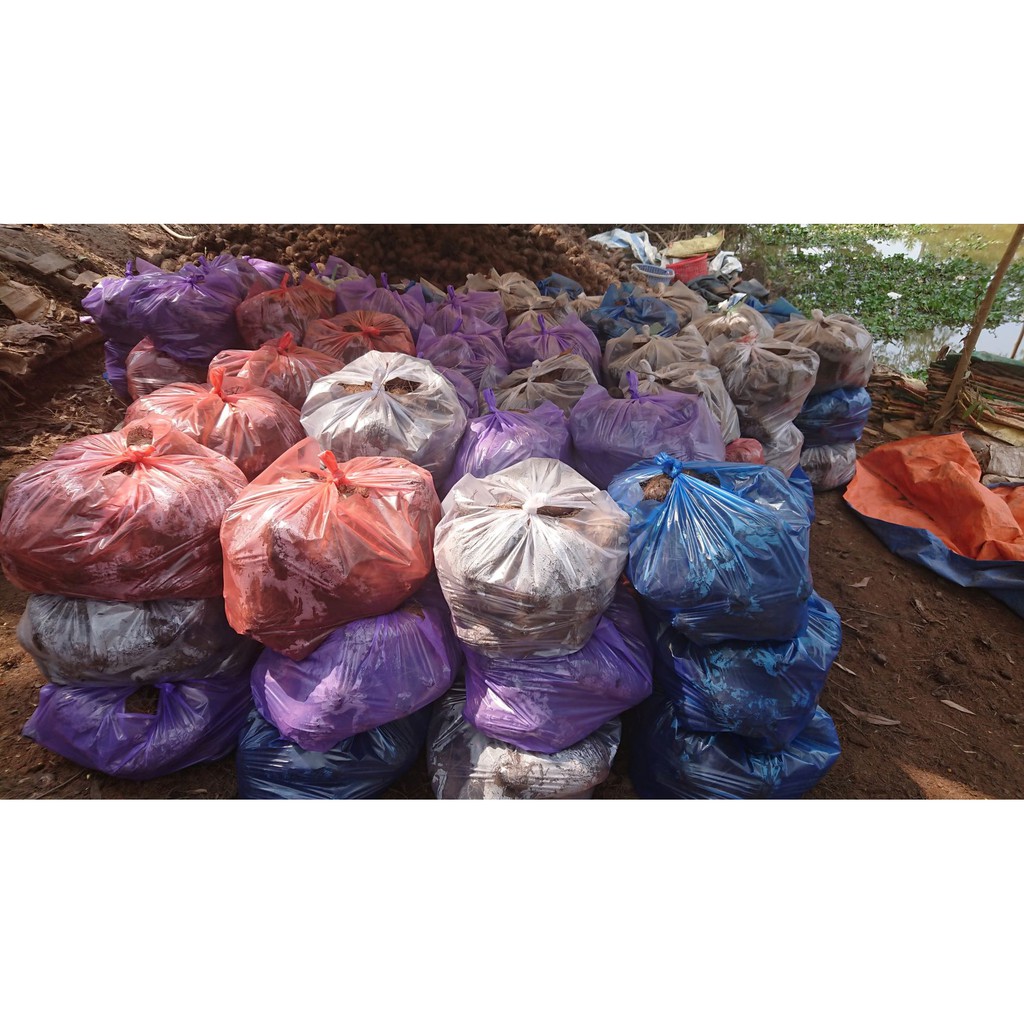 Củ khoai mỡ tím