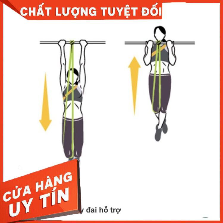 Dây kháng lực hỗ trợ đu xà đơn, dây kéo tập gym - Hàng nhập khẩu