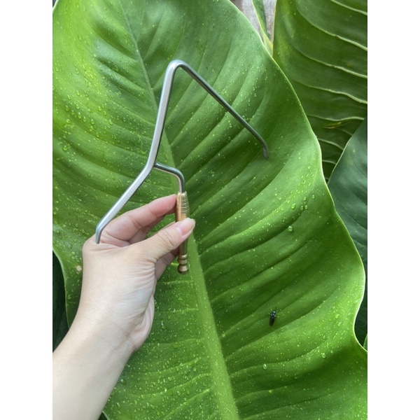 Móc trụ ty đồng bẩy cu gáy PILE khoan lỗ theo yêu cầu