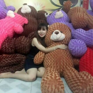 Gấu bông Teddy 1M4