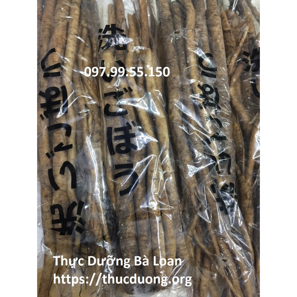 Ngưu báng tươi giống Nhật Bản Cửa Hàng Thực Dưỡng Bà Loan