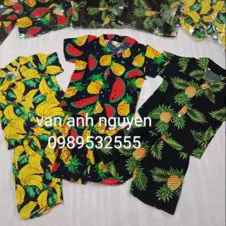 Bộ hoa quả cho bé