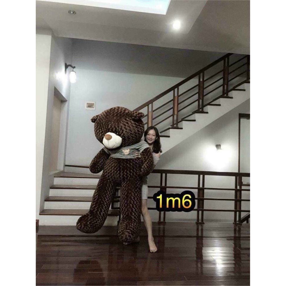 ( Freeship Ac ) Gấu teddy khổ 1m2 cao 1m hàng VNXK