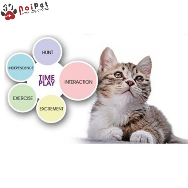 Đồ Chơi Bướm Xoay Hình Tròn Có Bóng Chuông Tự Động Cho Mèo Electric Rotating Butterfly Cat Toy DCBX 002