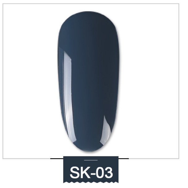 Sơn lẻ gel AS xám khói 6 màu SK