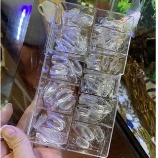 Móng úp hsm,jeliva phom hạt na ngắn hàn quốc 500 pcs