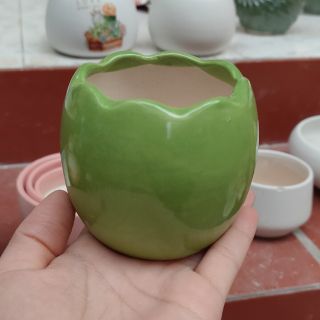 Chậu sứ hình trứng Bát Tràng