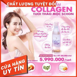 [Chính hãng] Nước uống Collagen Thảo Mộc Schon (hàng sẵn)