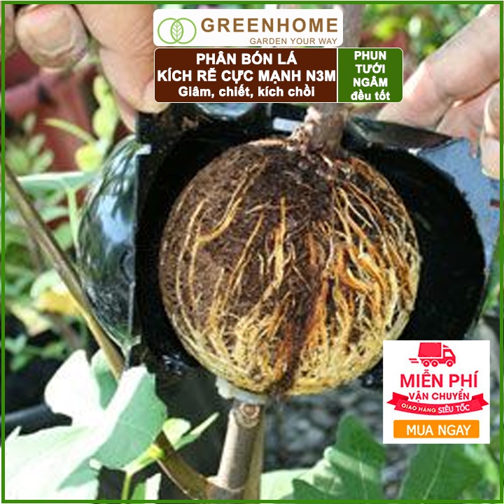 Thuốc kích rễ N3M, hũ 100gr, siêu ra rễ, giâm, chiết cành, ngâm hạt giống |Greenhome